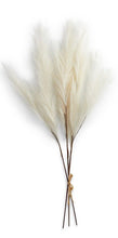 Load image into Gallery viewer, Large Faux Pampas Grass